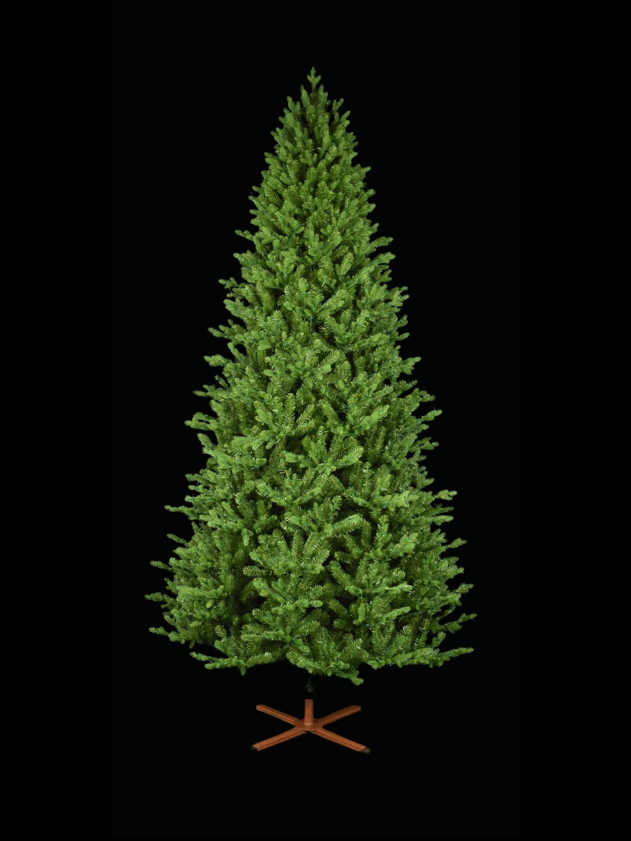 Balsam Fir 9'